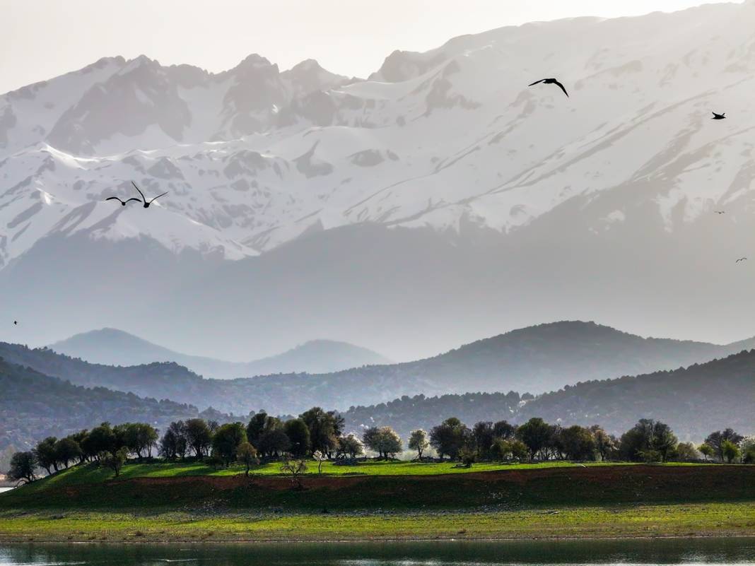 Konya'da adeta cennetten bir köşe! Bir tarafta karlı dağlar, diğer yanda bahar 12
